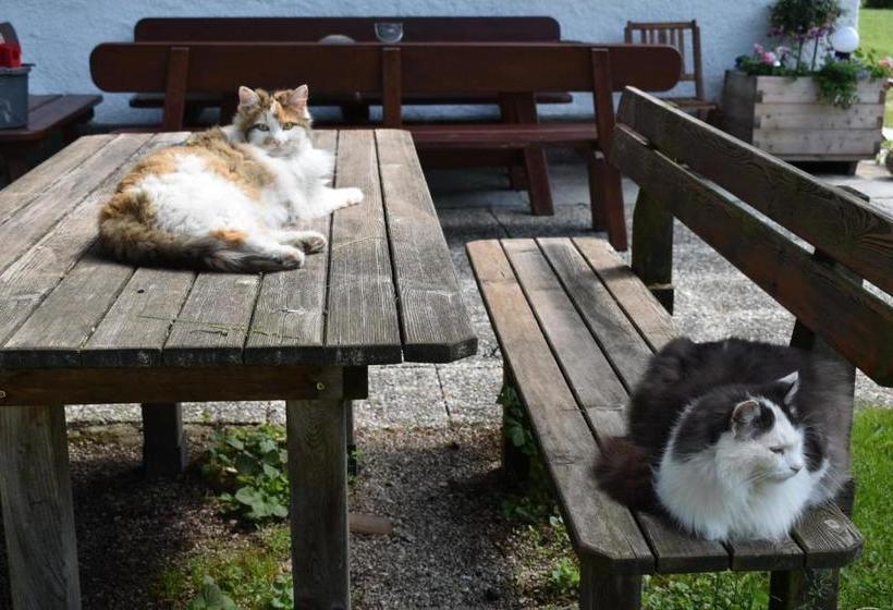 Отель Bauernhof Grubinger