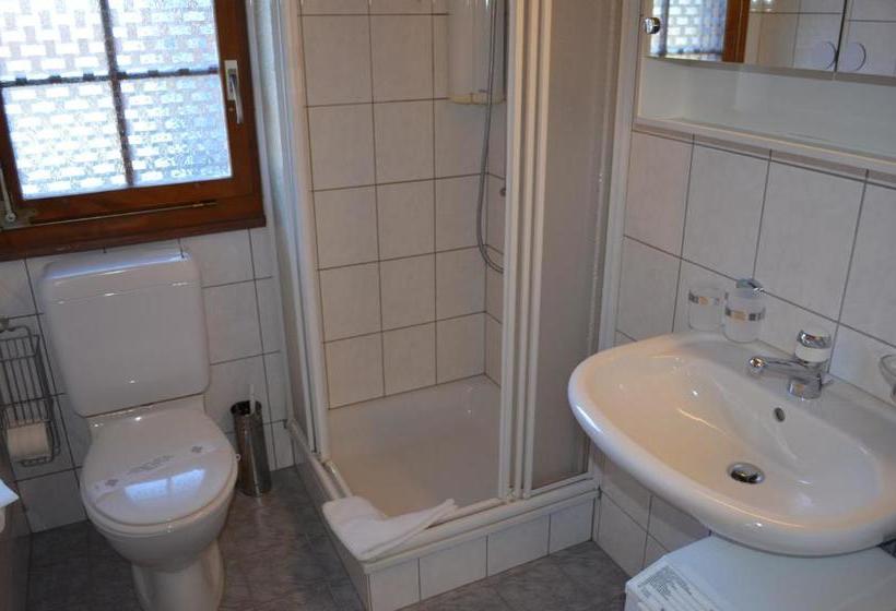 Отель Chalet Gustav - Blatten