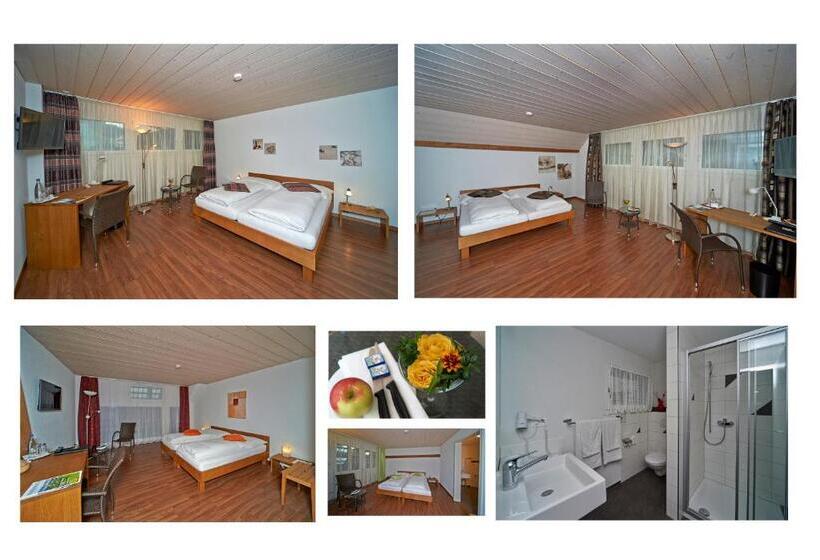 酒店 Gasthof Bären