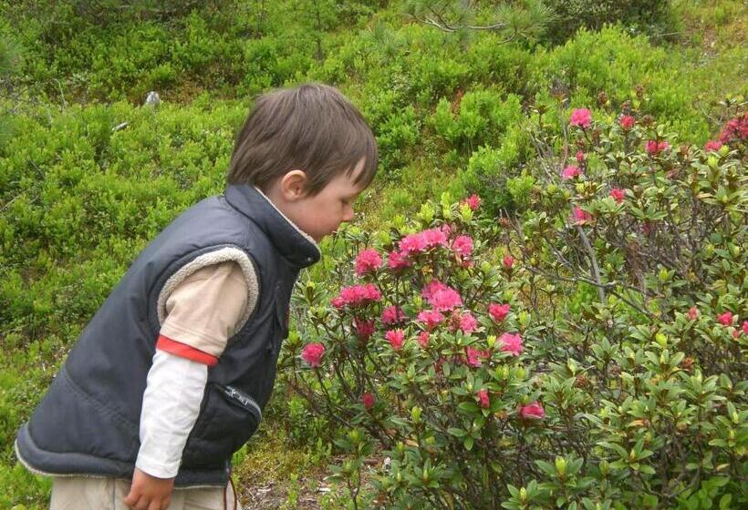 酒店 Haus Am Brunnen