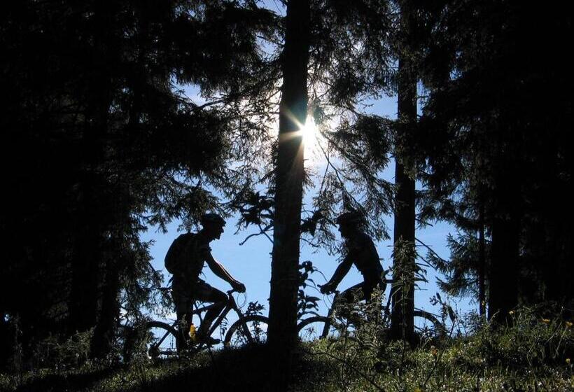 酒店 Haus Am Brunnen