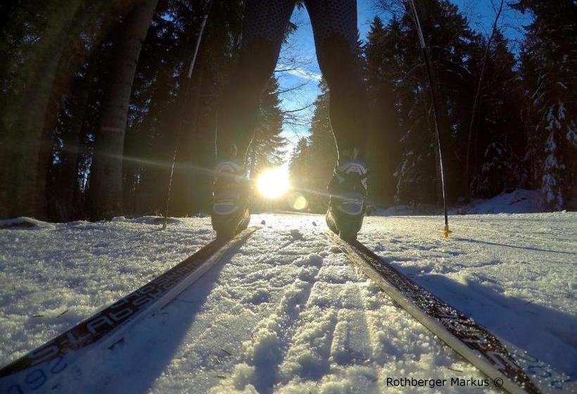 호텔 Hochfichtblick Apartments