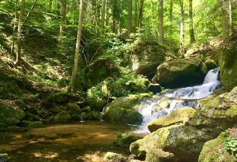 Hotelli Wirtshausbrennerei Krenn