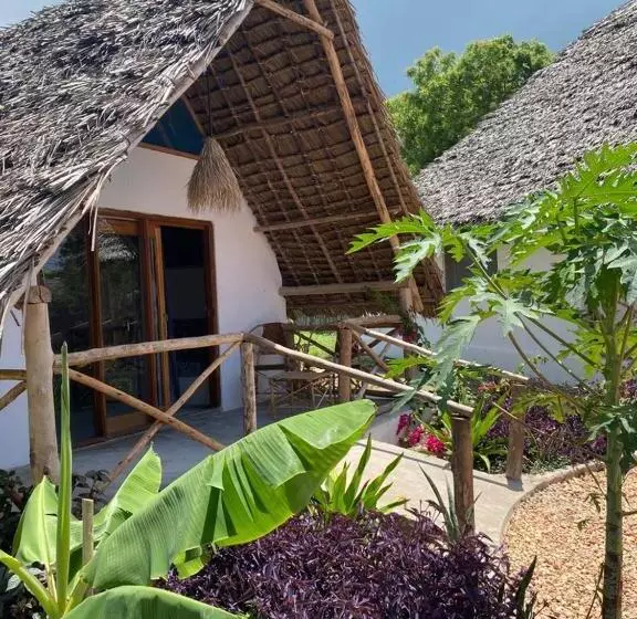 ベッドアンドブレックファースト Kokopelli Bungalows