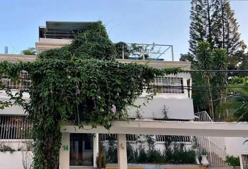 هتل Botanic Garden Hostal