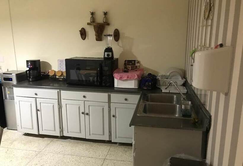 هتل Botanic Garden Hostal