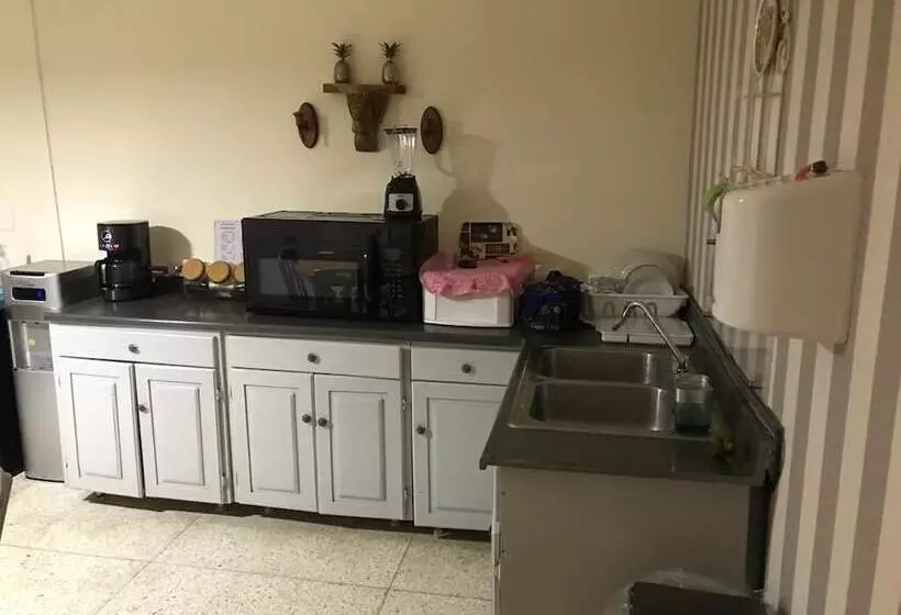 هتل Botanic Garden Hostal