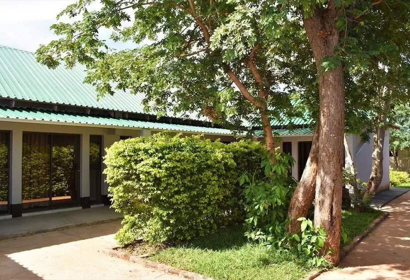 هتل Lulu Guest Lodge
