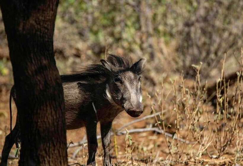 Отель Phakela Private Lodge