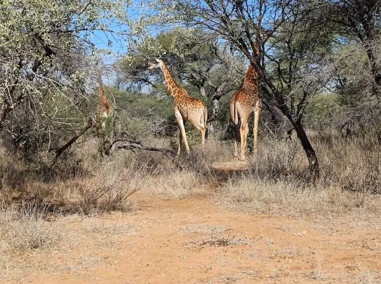 ホテル Phakela Private Lodge