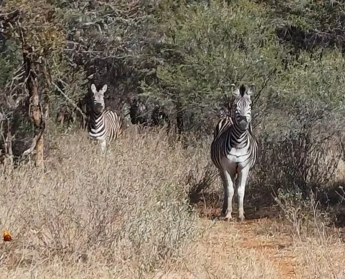 ホテル Phakela Private Lodge