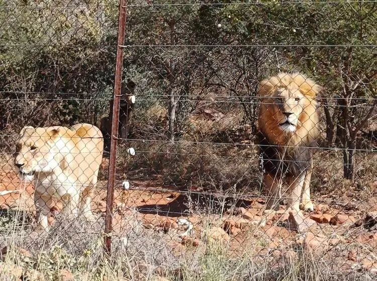 ホテル Phakela Private Lodge