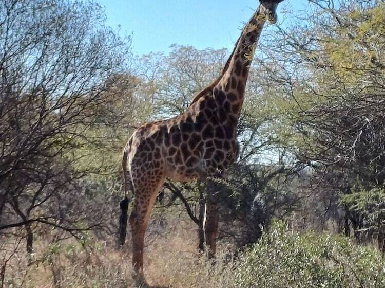 Отель Phakela Private Lodge