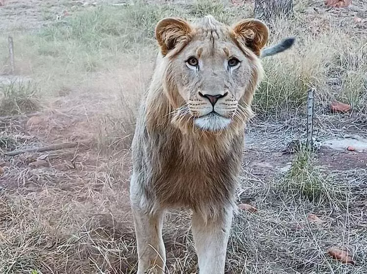 ホテル Phakela Private Lodge