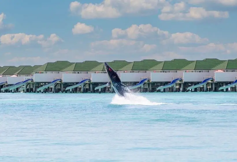 هتل Siyam World Maldives