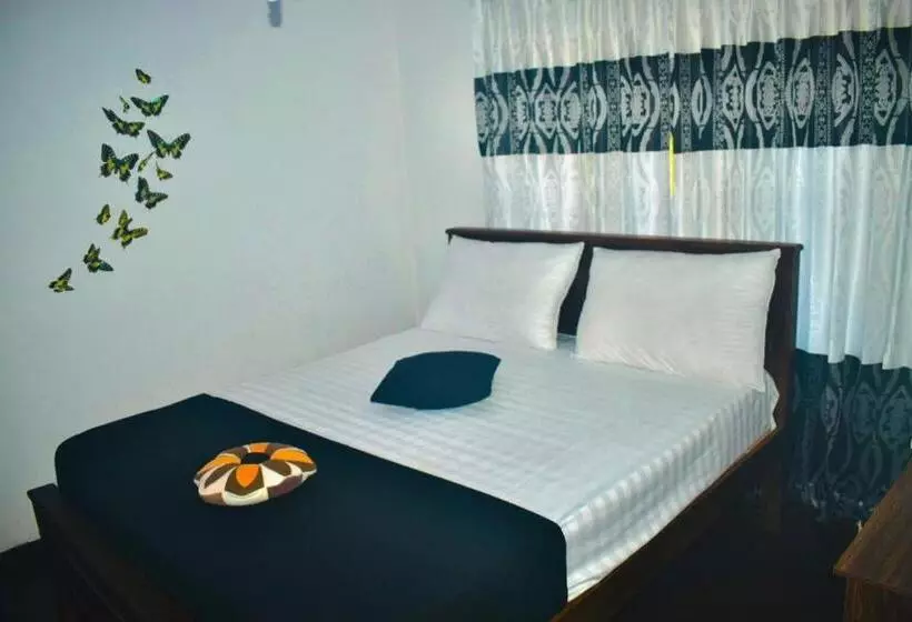 ベッドアンドブレックファースト Butterfly Guest Home And Rooms