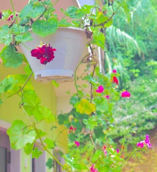 Aamiaismajoitus (B&B) Butterfly Guest Home And Rooms