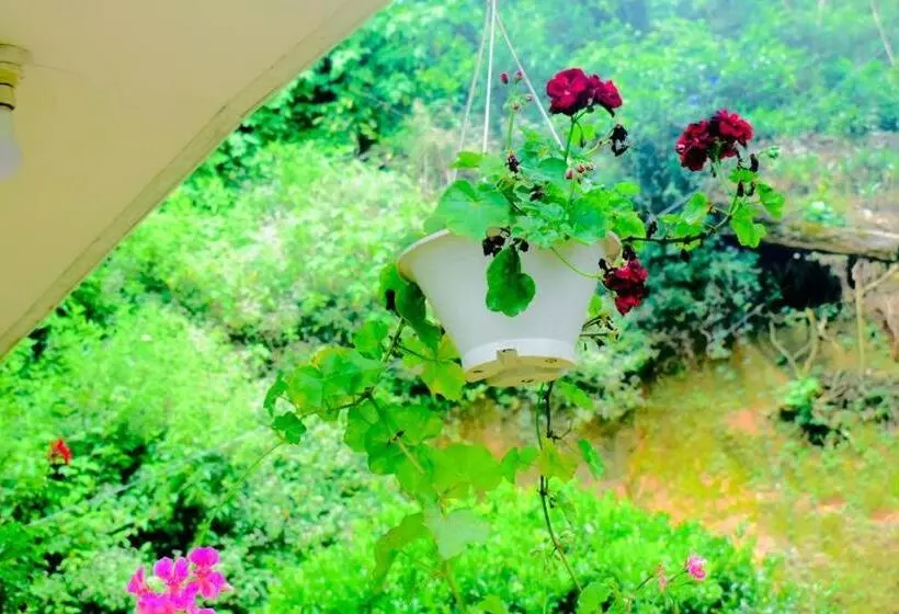 ベッドアンドブレックファースト Butterfly Guest Home And Rooms