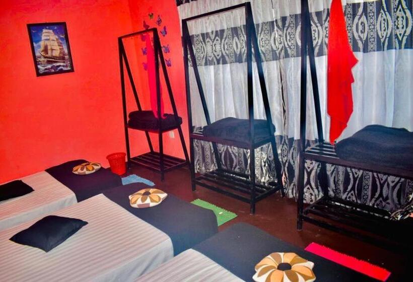 Aamiaismajoitus (B&B) Butterfly Guest Home And Rooms