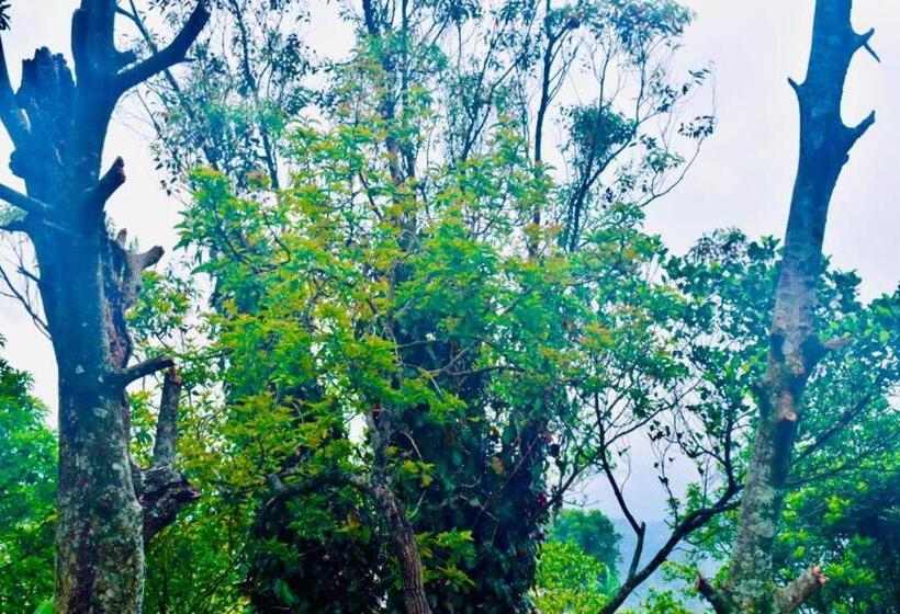 Aamiaismajoitus (B&B) Butterfly Guest Home And Rooms