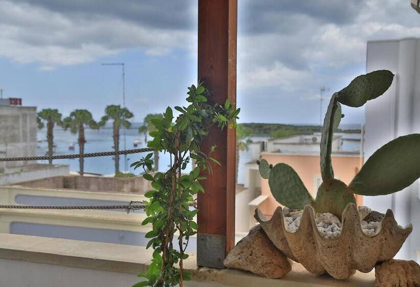 צימר Panfilo 2.0