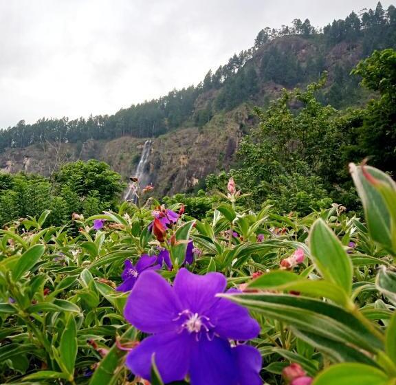 호텔 Bambarakanda Holiday Resort