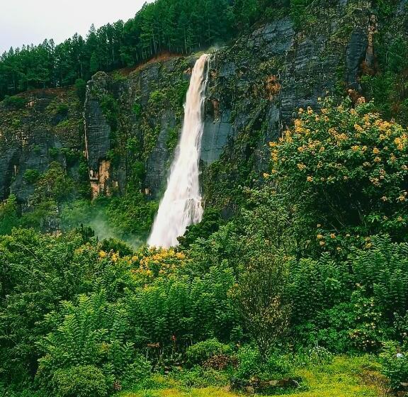 호텔 Bambarakanda Holiday Resort