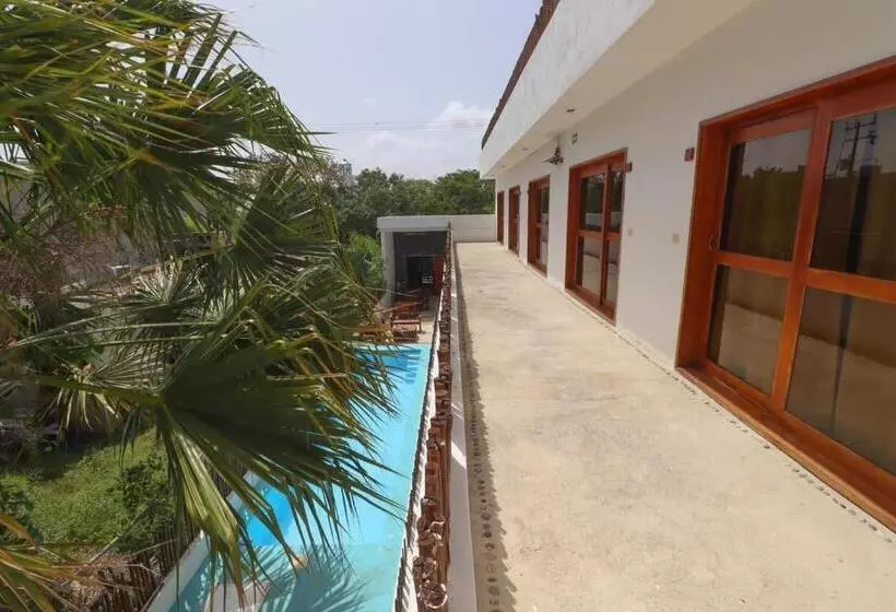 Jh Hotel Mahahual