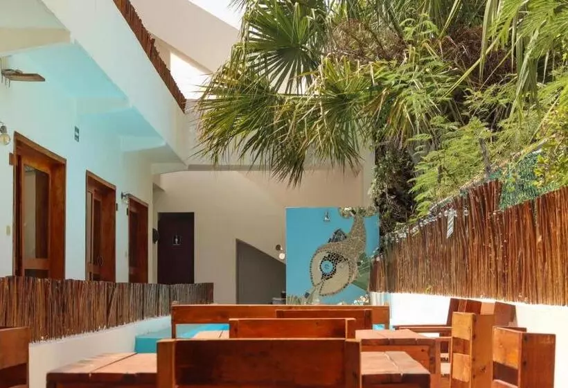 Jh Hotel Mahahual