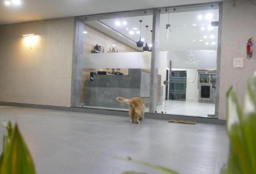 Non Ac Richa Hotel Palace Vadodara