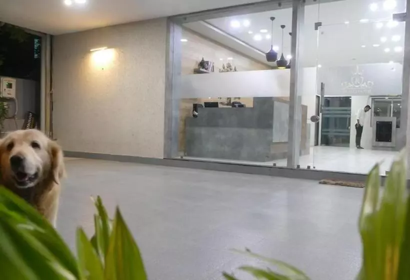 Non Ac Richa Hotel Palace Vadodara