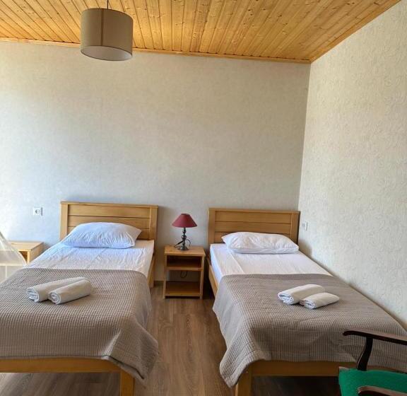 پانسیون Bala S House