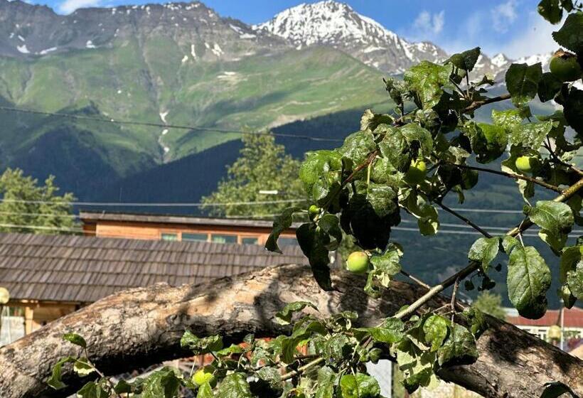 پانسیون Bala S House