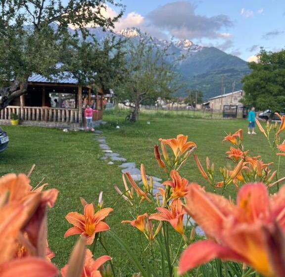 پانسیون Bala S House