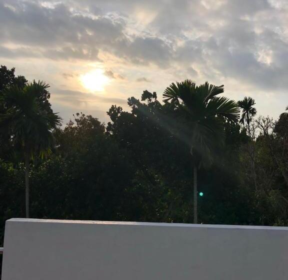 بنسيون Birds Paradise Holiday Rooms Kamburugamuwa