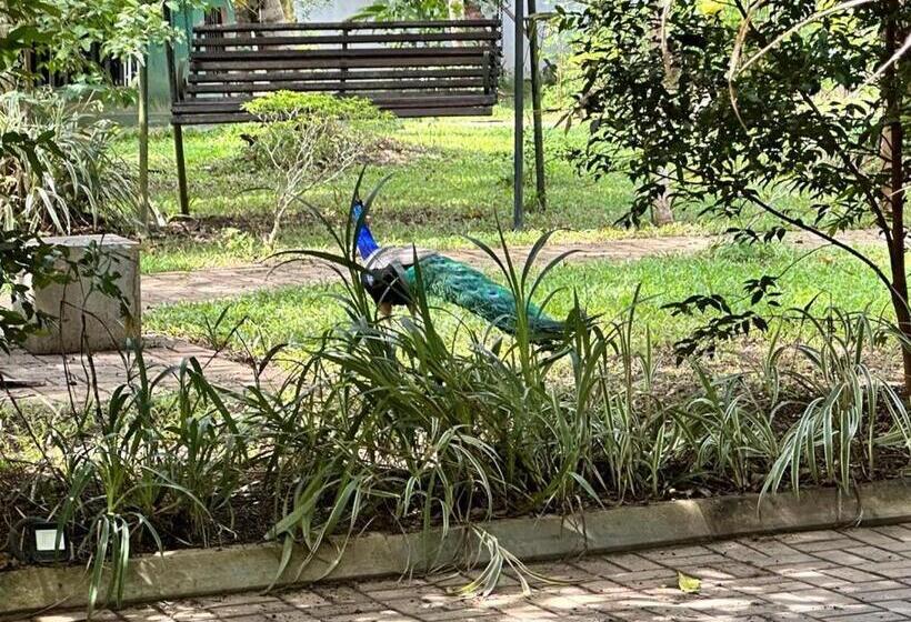 بنسيون Birds Paradise Holiday Rooms Kamburugamuwa