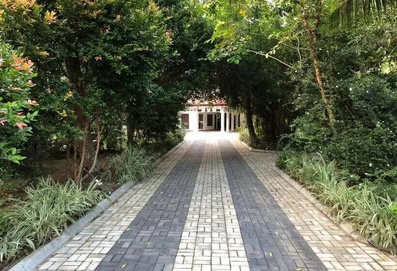ペンション Birds Paradise Holiday Rooms  Kamburugamuwa