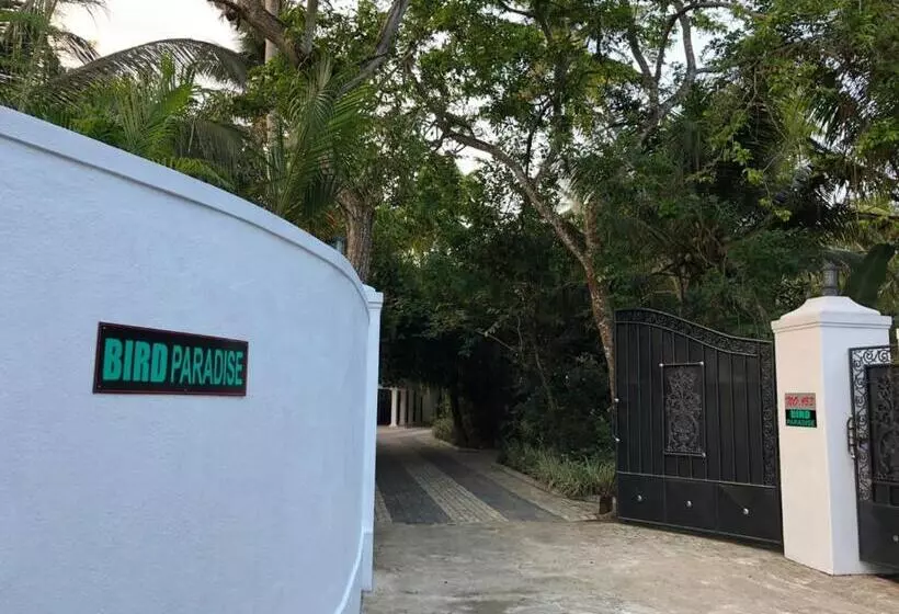ペンション Birds Paradise Holiday Rooms  Kamburugamuwa
