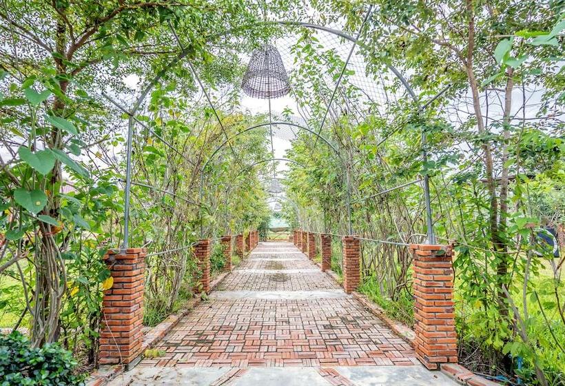 Bed and Breakfast Bat Rice Resort