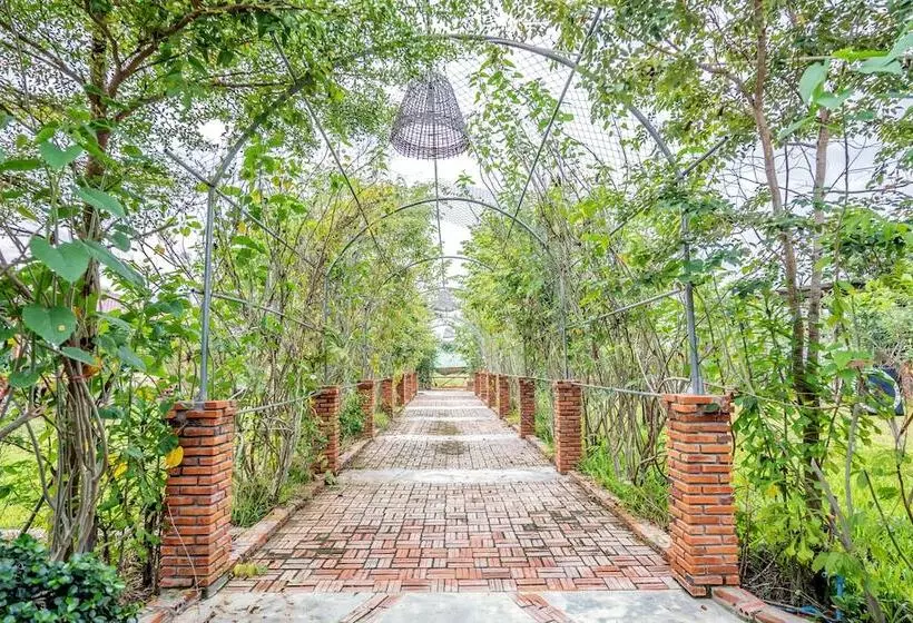 Aamiaismajoitus (B&B) Bat Rice Resort