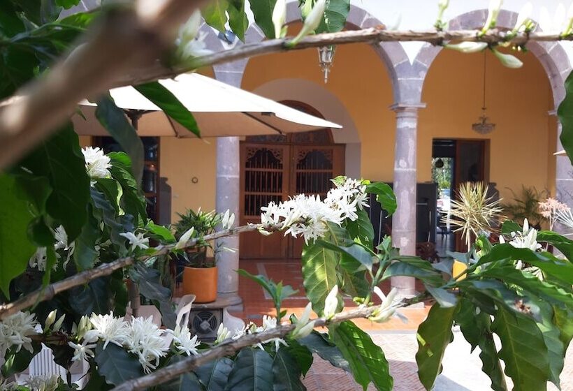 Bed and Breakfast Casa Aroma De Café, En El Corazón De Coatepec