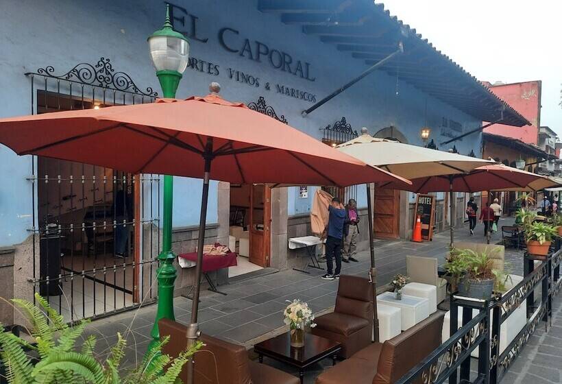 Bed and Breakfast Casa Aroma De Café, En El Corazón De Coatepec