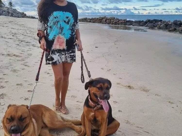 Aamiaismajoitus (B&B) Casa Ferreira Cumbuco