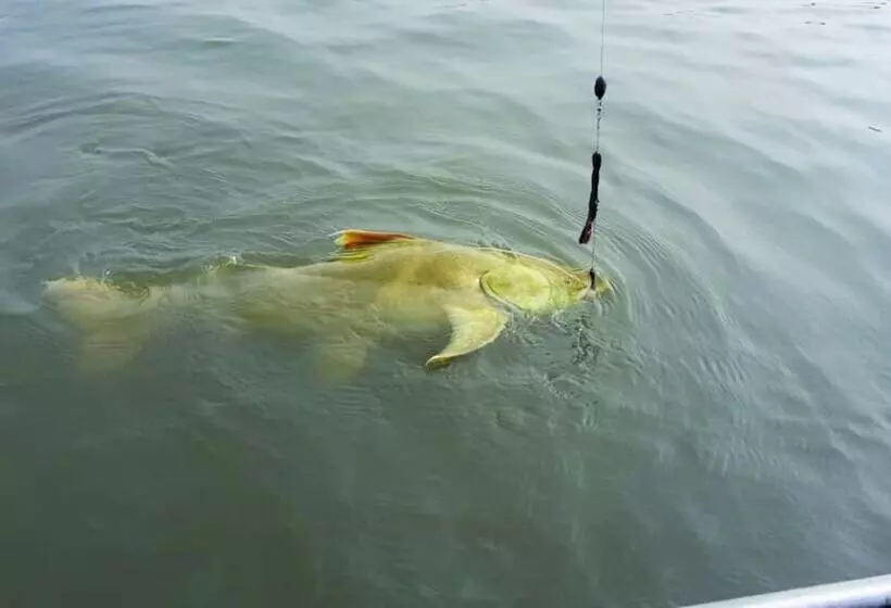 Hostelli Pousada Navegantes