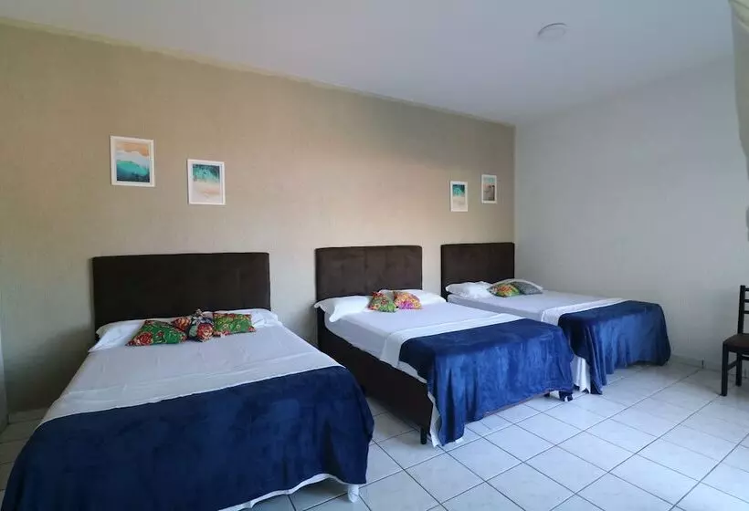 簡易ホテル Pousada Praia Mongaguá
