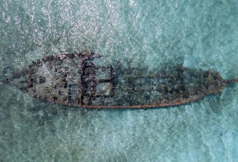 Hotel Isla   The Island Experience