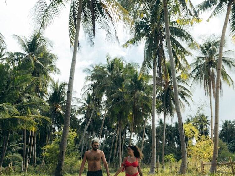 Hotel Isla   The Island Experience