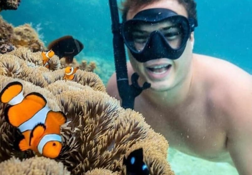 Hotel Isla   The Island Experience