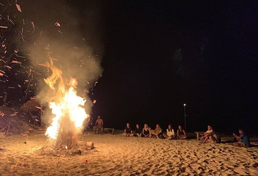 Hotel Isla   The Island Experience