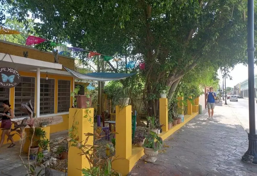 پانسیون Café Hostal Valladolid